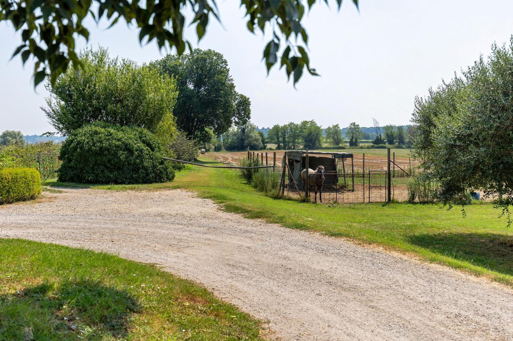New Agriturismo Corte Olfino Монцамбано Екстериор снимка